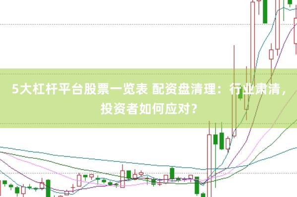 5大杠杆平台股票一览表 配资盘清理：行业肃清，投资者如何应对？