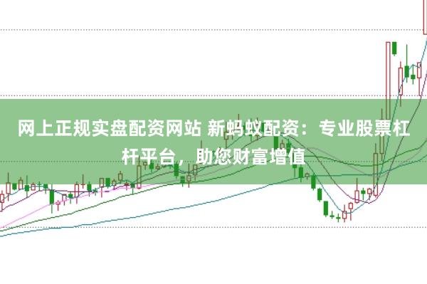 网上正规实盘配资网站 新蚂蚁配资：专业股票杠杆平台，助您财富增值