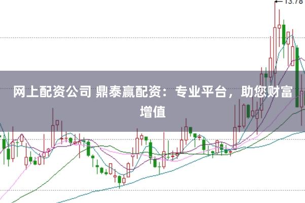 网上配资公司 鼎泰赢配资：专业平台，助您财富增值