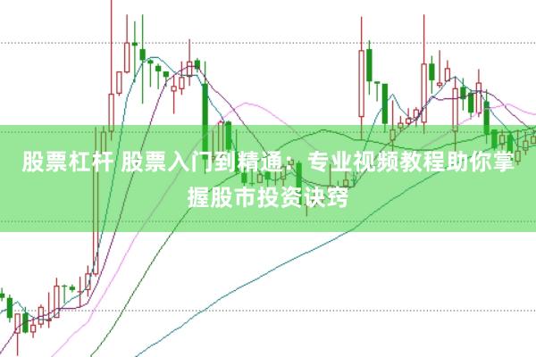 股票杠杆 股票入门到精通：专业视频教程助你掌握股市投资诀窍
