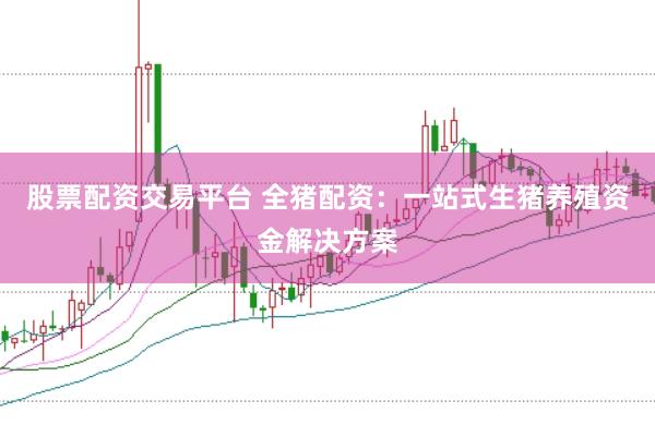 股票配资交易平台 全猪配资：一站式生猪养殖资金解决方案