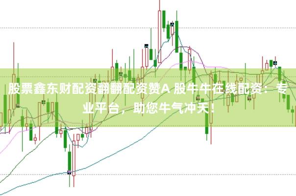 股票鑫东财配资翻翻配资赞A 股牛牛在线配资：专业平台，助您牛气冲天！