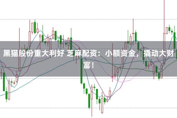 黑猫股份重大利好 芝麻配资：小额资金，撬动大财富！