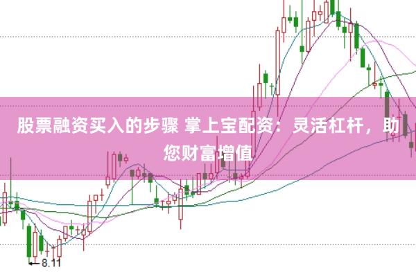 股票融资买入的步骤 掌上宝配资：灵活杠杆，助您财富增值