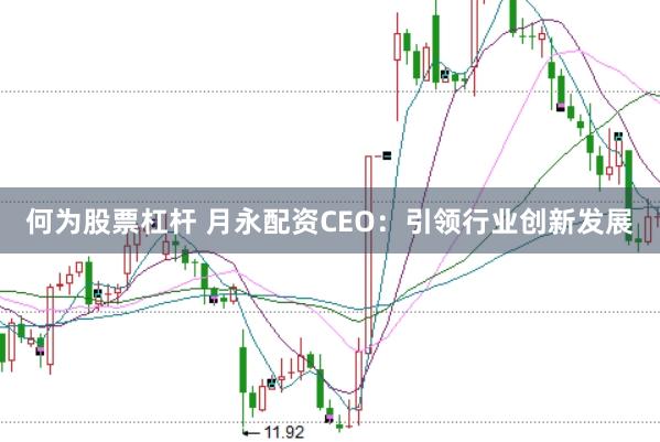 何为股票杠杆 月永配资CEO：引领行业创新发展