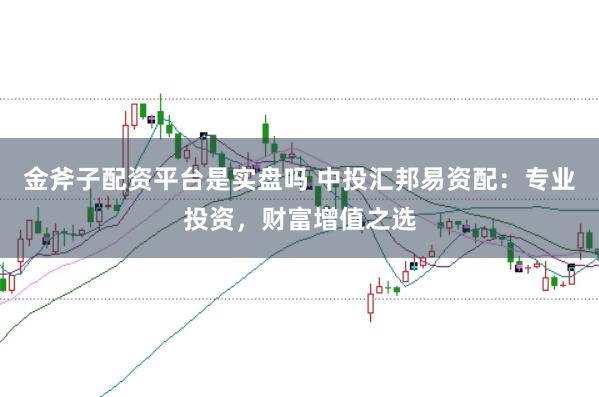 金斧子配资平台是实盘吗 中投汇邦易资配：专业投资，财富增值之选
