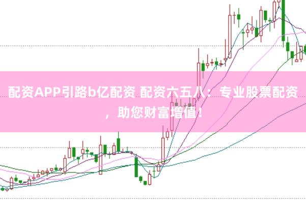 配资APP引路b亿配资 配资六五八：专业股票配资，助您财富增值！