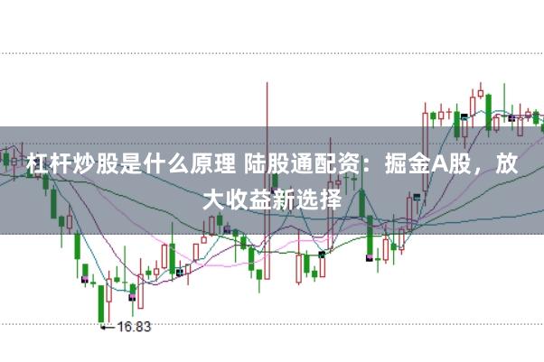 杠杆炒股是什么原理 陆股通配资：掘金A股，放大收益新选择