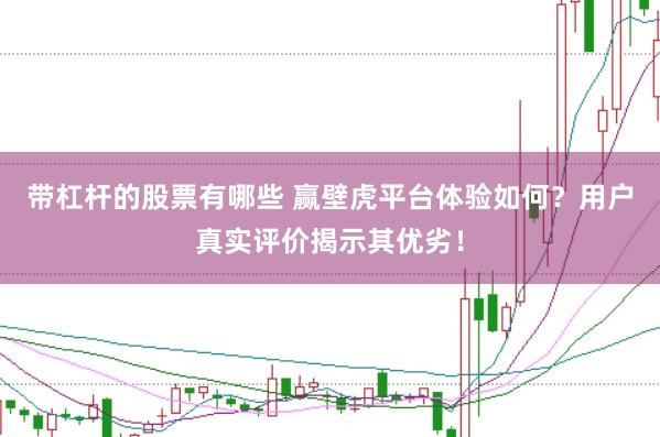 带杠杆的股票有哪些 赢壁虎平台体验如何？用户真实评价揭示其优劣！