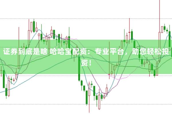 证券到底是啥 哈哈宝配资：专业平台，助您轻松投资！