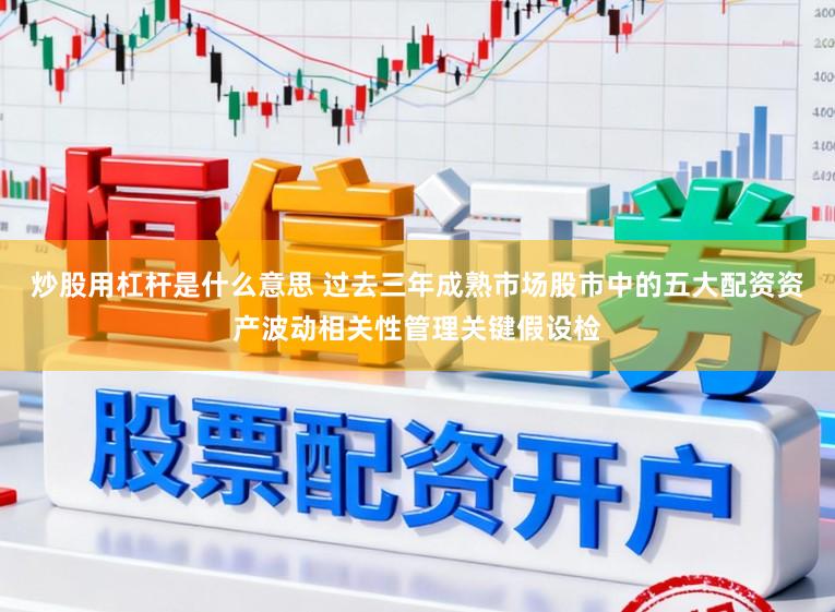 炒股用杠杆是什么意思 过去三年成熟市场股市中的五大配资资产波动相关性管理关键假设检