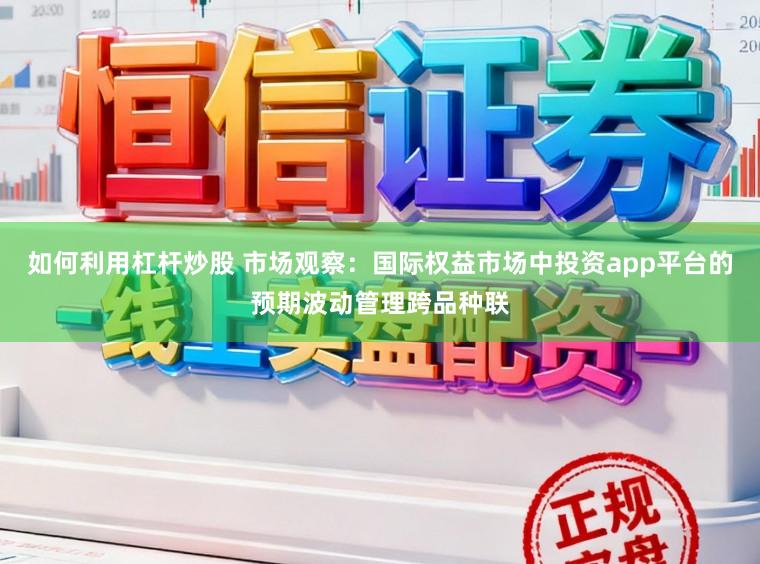 如何利用杠杆炒股 市场观察：国际权益市场中投资app平台的预期波动管理跨品种联